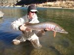 Ed Adams New Mexico Fly Fishing Guide