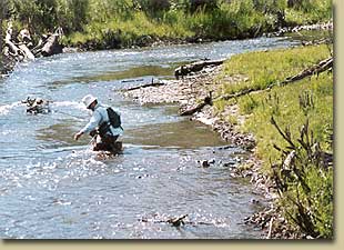 Fly Fishing Small Rivers In New Mexico Other New Mexico Fly Fishing Waters