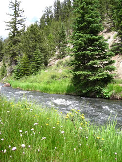 Fishing on the Rio Costilla
