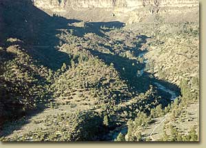 Aerial view of the Rio Grande River